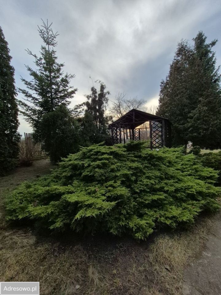 dom wolnostojący, 3 pokoje Nowa Sól, ul. Wodna. Zdjęcie 11