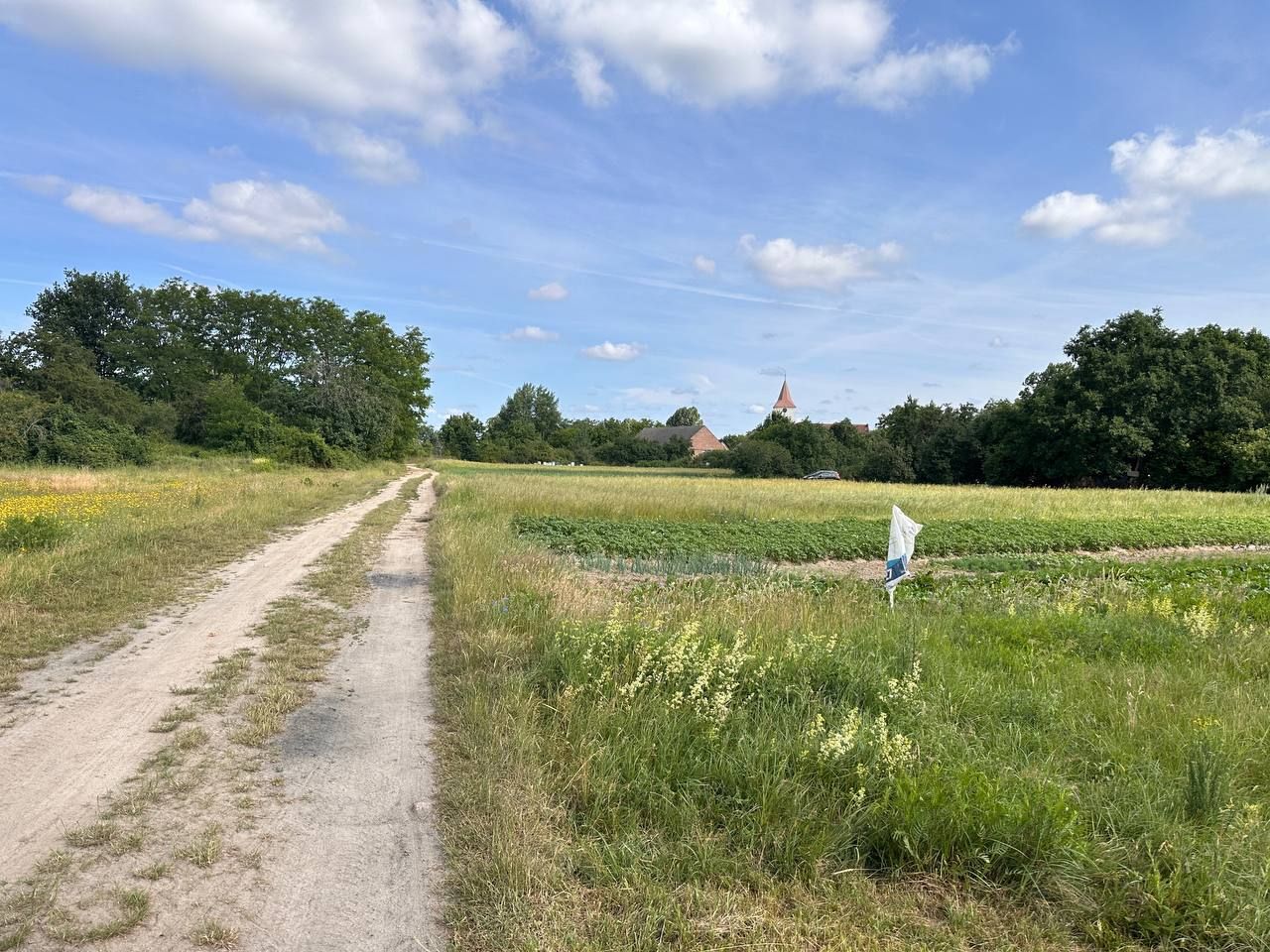 Działka budowlana Strzegów. Zdjęcie 7