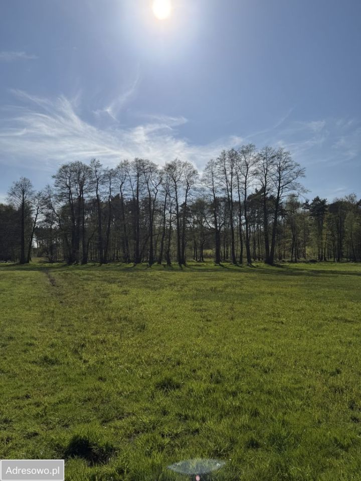 Działka budowlana Łaziska Górne, ul. Cieszyńska. Zdjęcie 3