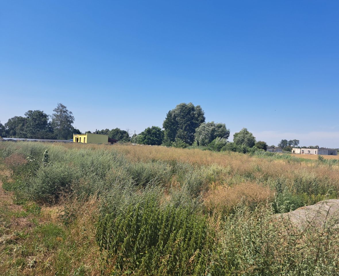 Działka rolno-budowlana Zaszczytowo. Zdjęcie 12