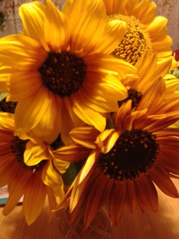 Mieszkanie 1-pokojowe Opole Chabrów, ul. Chabrów. Zdjęcie 1