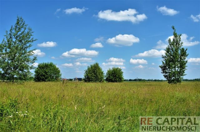 Działka budowlana Zaborówek. Zdjęcie 1