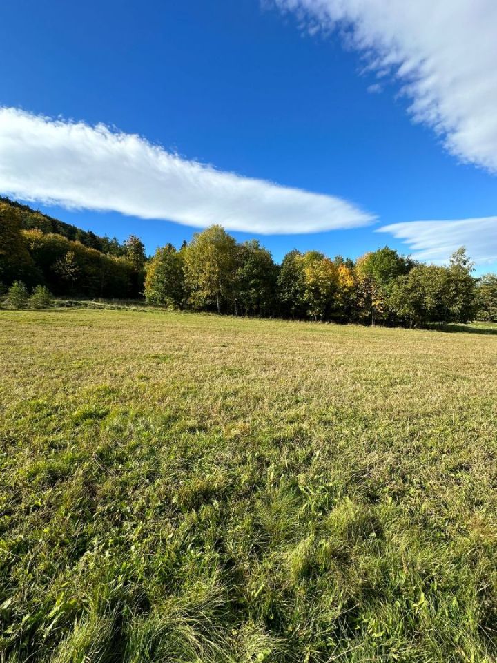 Działka rolno-budowlana Szczawina. Zdjęcie 5