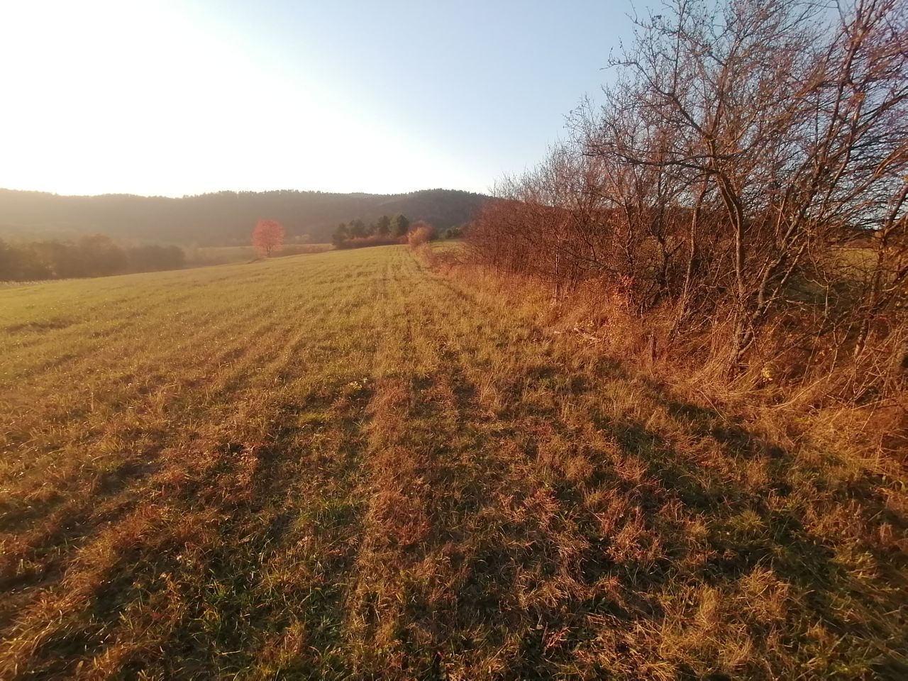 Działka rekreacyjna Rybotycze. Zdjęcie 9