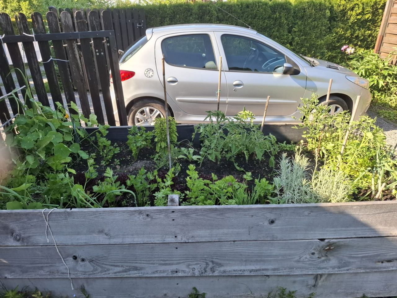 Działka rekreacyjna Bielsko-Biała Kamienica, ul. Skarpowa. Zdjęcie 5