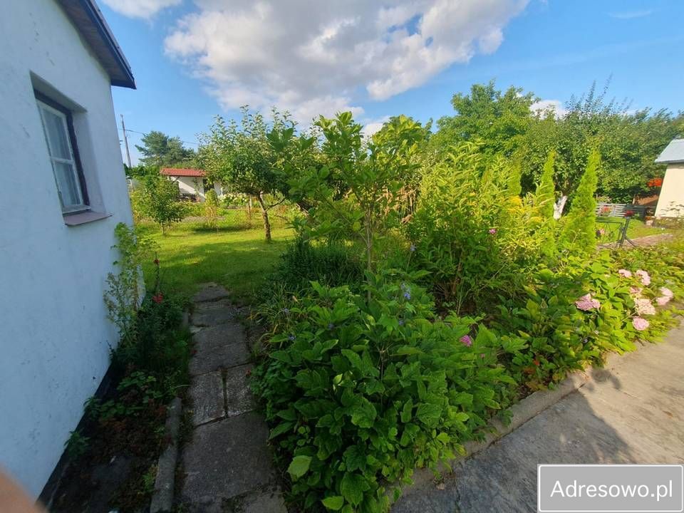 Działka rod Pruszcz Gdański. Zdjęcie 2