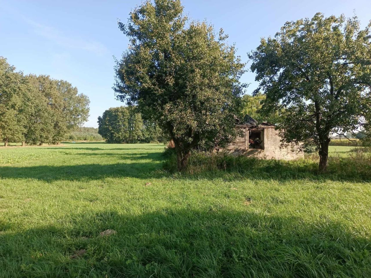 Działka budowlana Gołaszyny. Zdjęcie 3