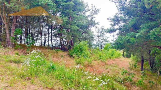 Działka budowlana Trzebuń. Zdjęcie 11