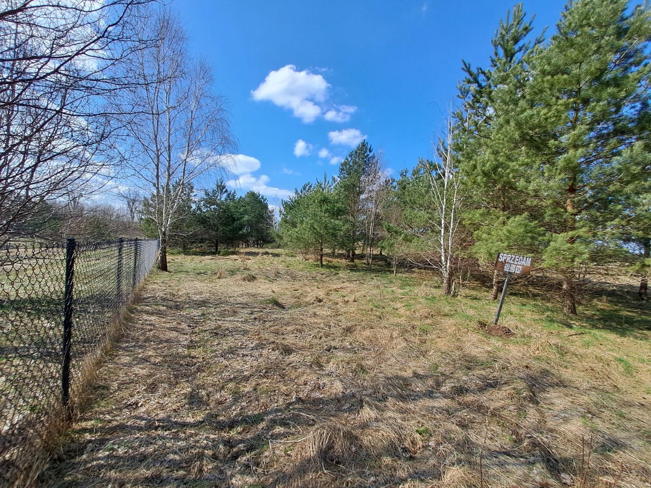 Działka rekreacyjna Dąbrówno, Wzgórze Letniskowe Dąbrowa. Zdjęcie 9