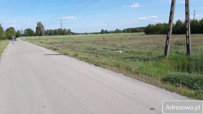 Działka siedliskowa Rosy. Zdjęcie 6