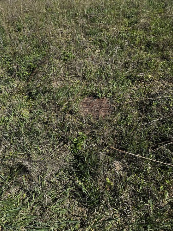 Działka budowlana Niechłód. Zdjęcie 2