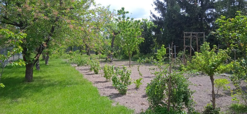 Działka rekreacyjna Chełmża. Zdjęcie 5