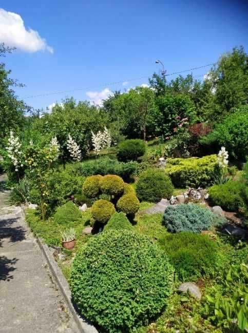 Działka rod Szczecin Golęcino, ul. Grochowa. Zdjęcie 7