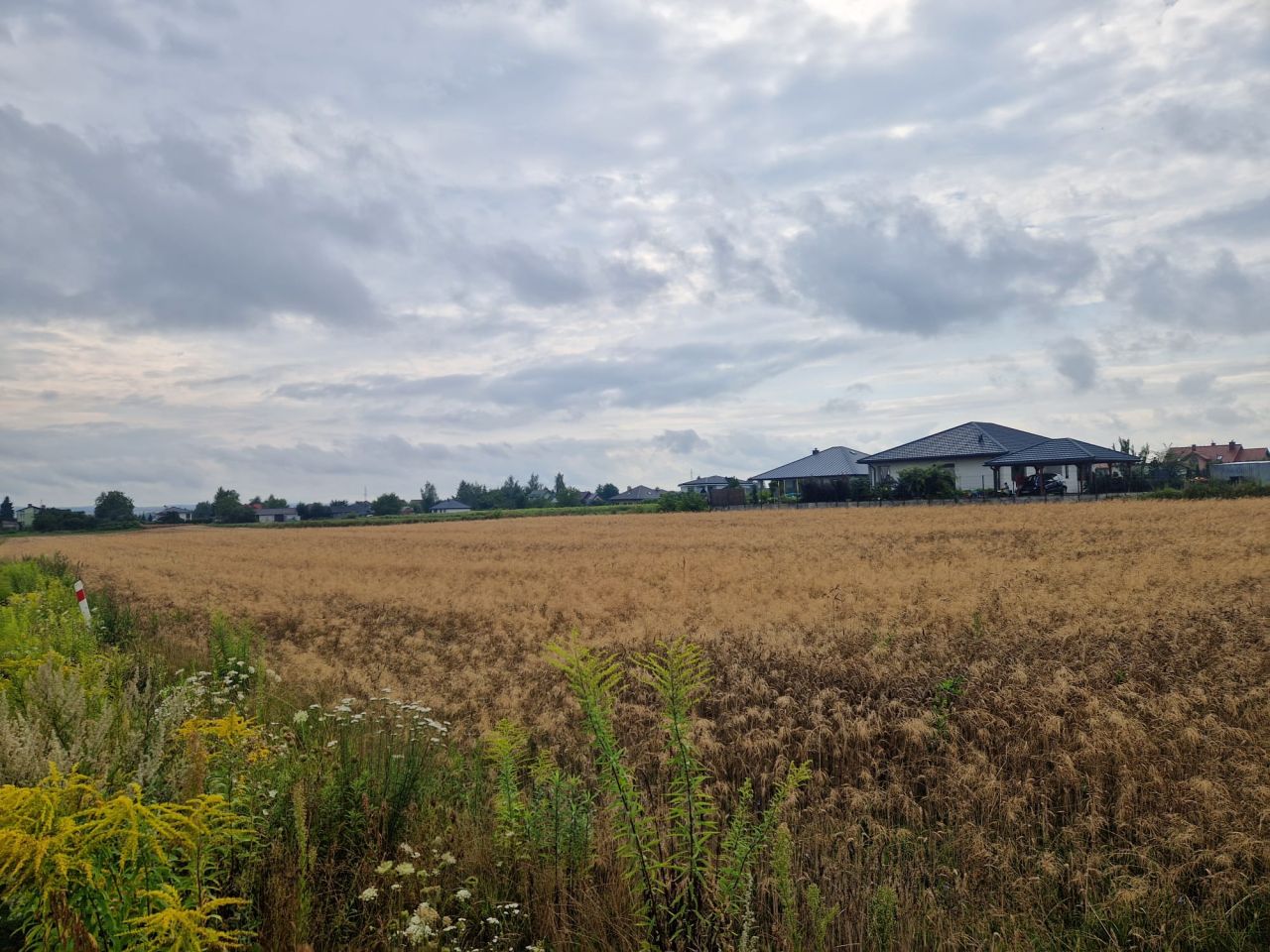 Działka budowlana Kalinowice. Zdjęcie 4