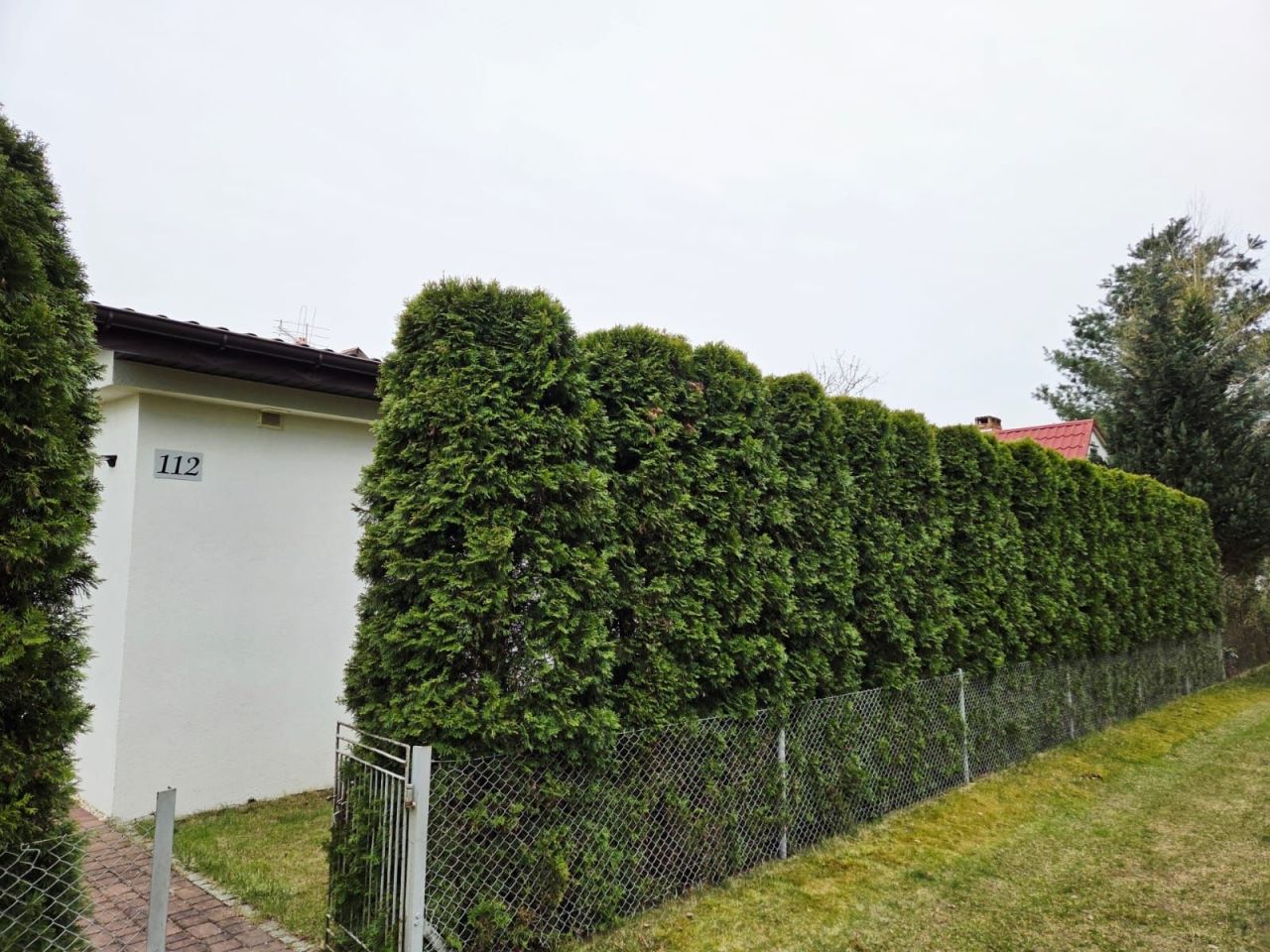 Działka rod Rumin. Zdjęcie 6