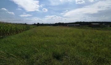 Działka rolna Poręba Wielka Lachetówka