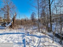 Działka budowlana Sienna. Zdjęcie 4