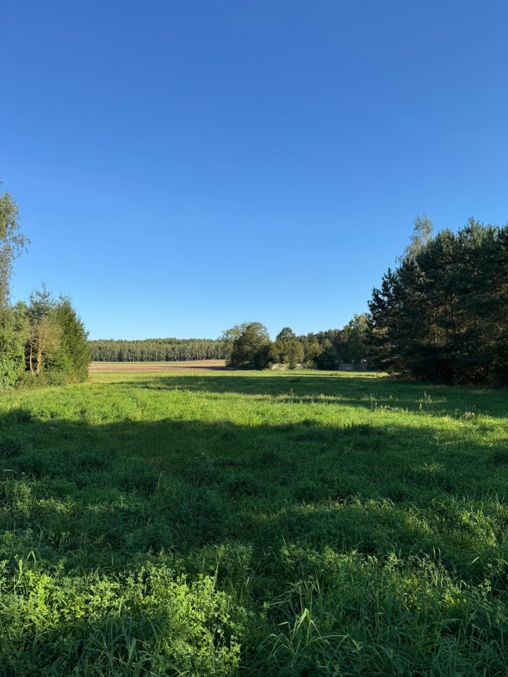 Działka budowlana Mława Krajewo, ul. Krajewo. Zdjęcie 3