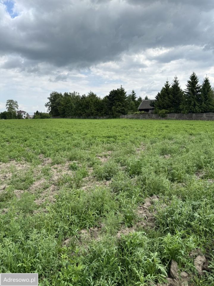 Działka inwestycyjna Brzostek. Zdjęcie 13