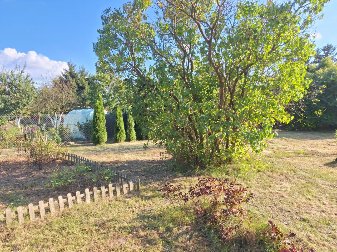 Działka rod Płock Radziwie, ul. Dobrzykowska. Zdjęcie 14