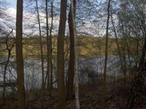 Działka budowlana Nienawiszcz. Zdjęcie 4