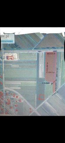 Działka rolna Międzyrzec Podlaski, ul. Leśna. Zdjęcie 1
