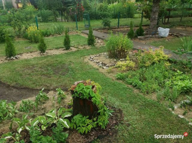 Działka rekreacyjna Toruń Starotoruńskie Przedmieście, ul. Port Drzewny. Zdjęcie 1