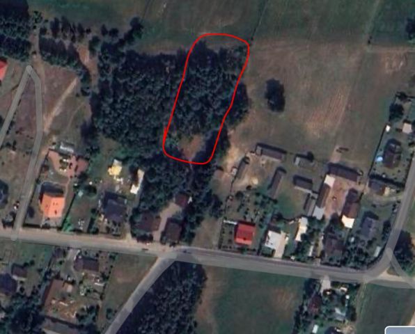 Działka rolno-budowlana Olszewka, Olszewka. Zdjęcie 1