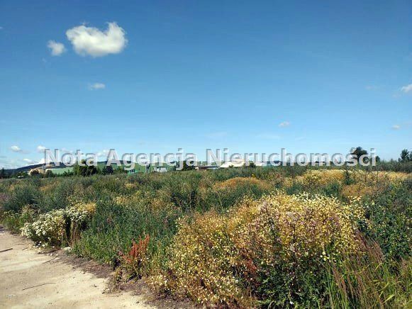 Działka inwestycyjna Świebodzice Ciernie. Zdjęcie 2