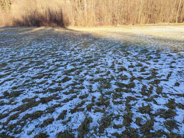 Działka budowlana Stara Wieś. Zdjęcie 1