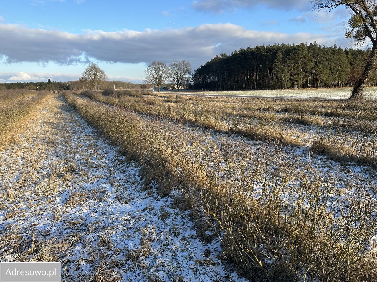 Działka budowlana Kopanki. Zdjęcie 3