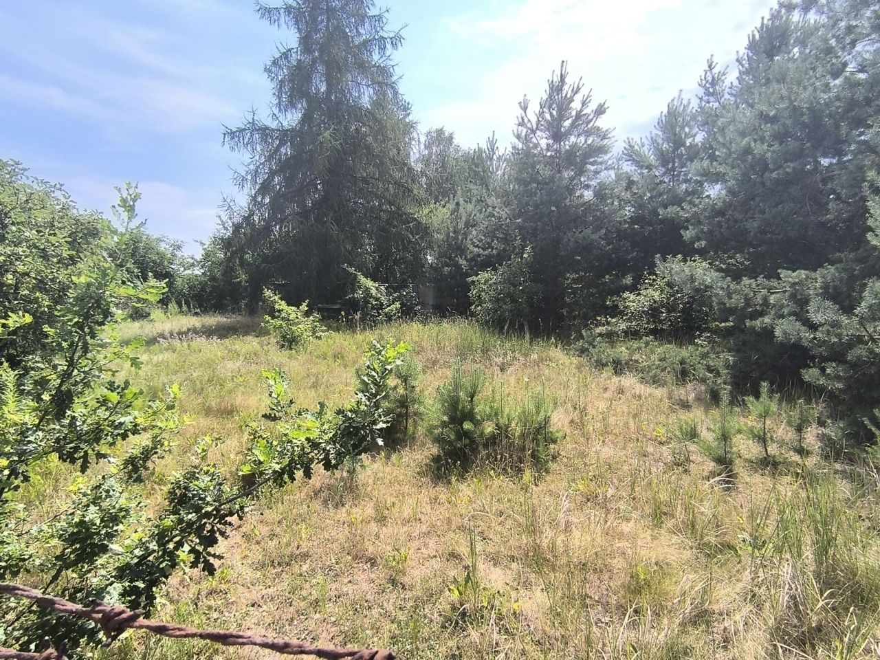 Działka budowlana Poznań Starołęka. Zdjęcie 1