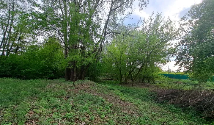 Działka budowlana Michałów-Reginów