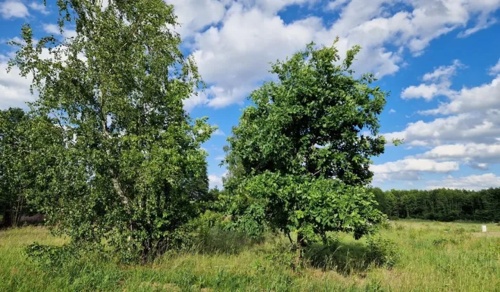 Działka budowlana Budy Zosine, ul. Żołnierzy Grupy Kampinos