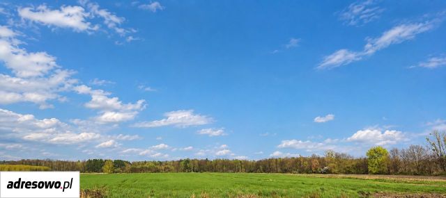 Działka rolno-budowlana Połomia. Zdjęcie 1