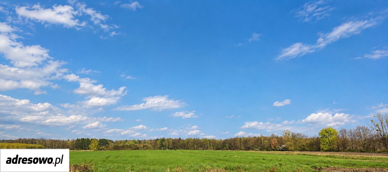 Działka rolno-budowlana Połomia. Zdjęcie 1