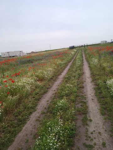 Działka budowlana Stare Kupiski. Zdjęcie 1