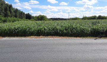 Działka rolno-budowlana Dylaki Michalanka, ul. Ozimska