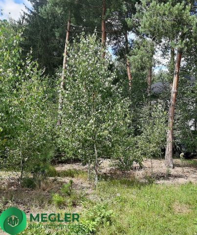 Działka budowlana Nadarzyn. Zdjęcie 5