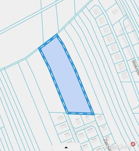 Działka inwestycyjna Golina, ul. Cmentarna. Zdjęcie 1