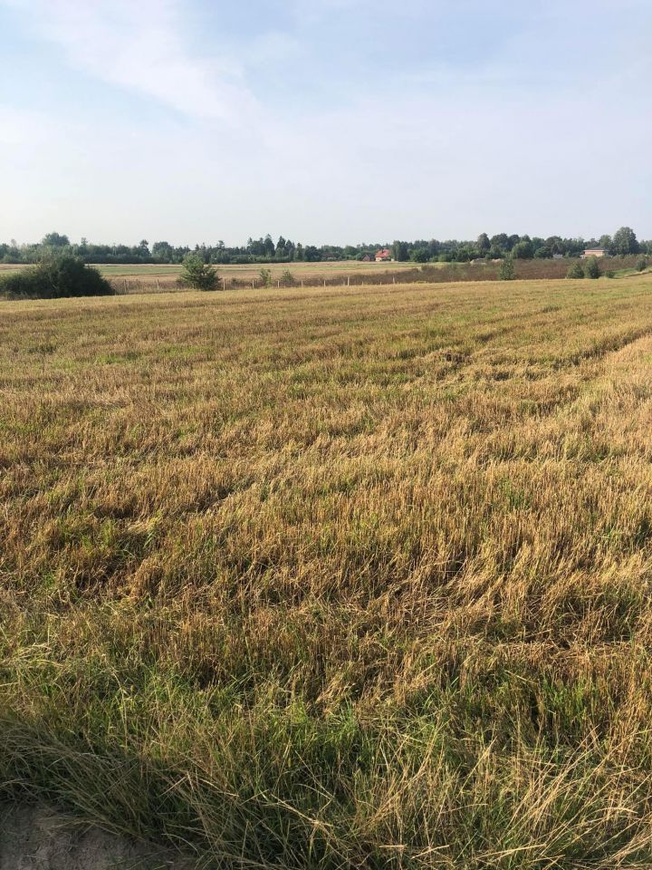 Działka budowlana Dosin, ul. Lazurowa. Zdjęcie 1