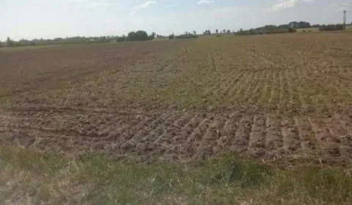 Działka rolna Brzóza