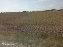 Działka rolna Brzóza