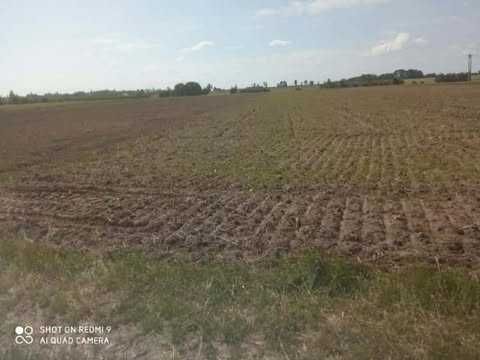 Działka rolna Brzóza