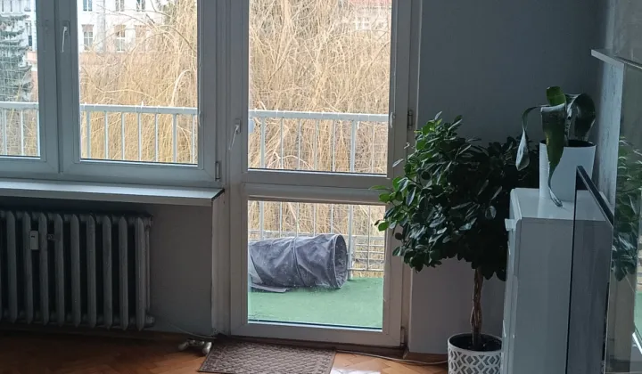 Mieszkanie 2-pokojowe Prudnik, Plac wolności