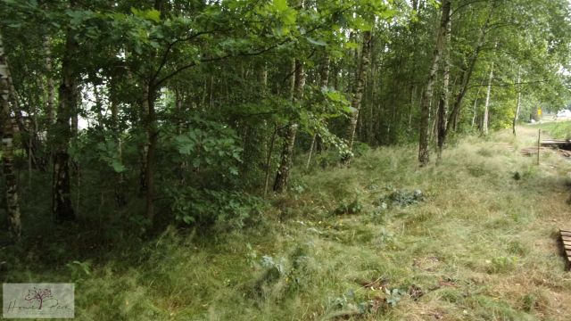 Działka budowlana Bedoń Przykościelny. Zdjęcie 2