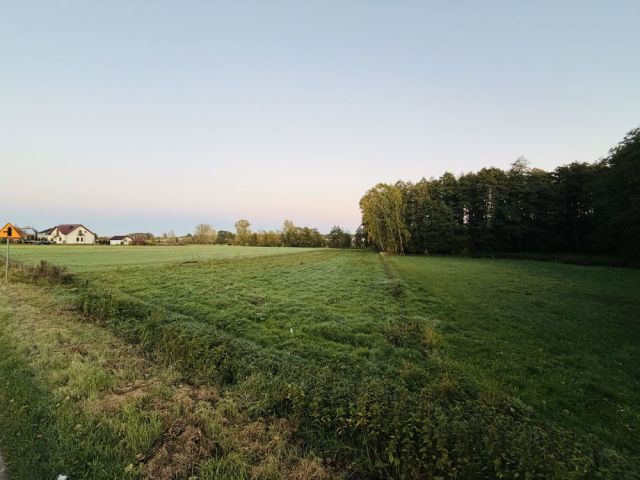 Działka rolno-budowlana Zabruzdy-Kolonia. Zdjęcie 1