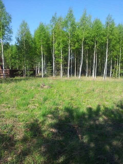 Działka rekreacyjna Pilec. Zdjęcie 2