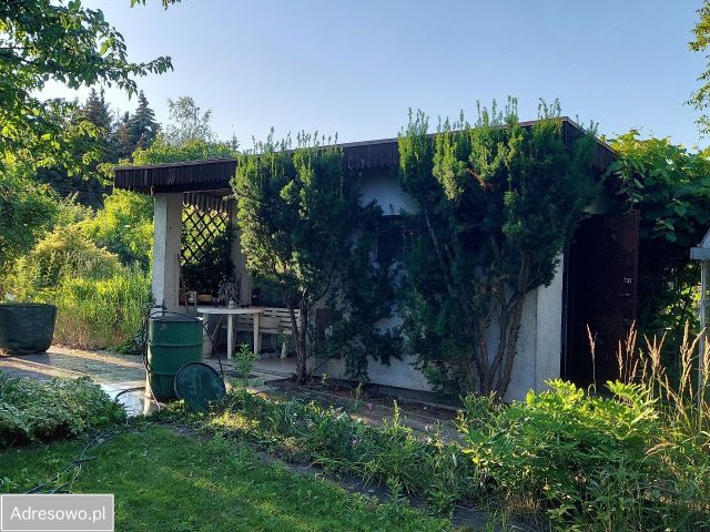 Działka rekreacyjna Poznań Wilda, ul. Łęgi Dębińskie. Zdjęcie 1