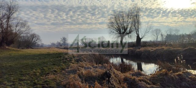 Działka rolno-budowlana Cholewy. Zdjęcie 8